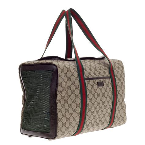 cat family gucci bag|gucci pet carrier bag.